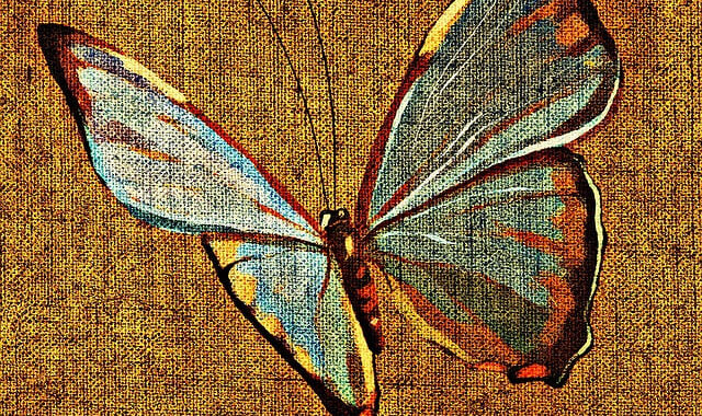 Butterfly